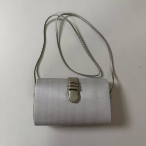 Del Mono Vintage Silver Women's Bag with Magnetic Closure